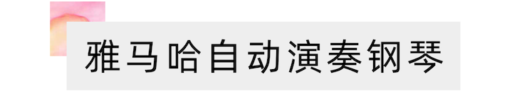 活动报道 | “科技助力，跨越时空”，小鹿纯子携手刘明康共享中日音乐盛宴